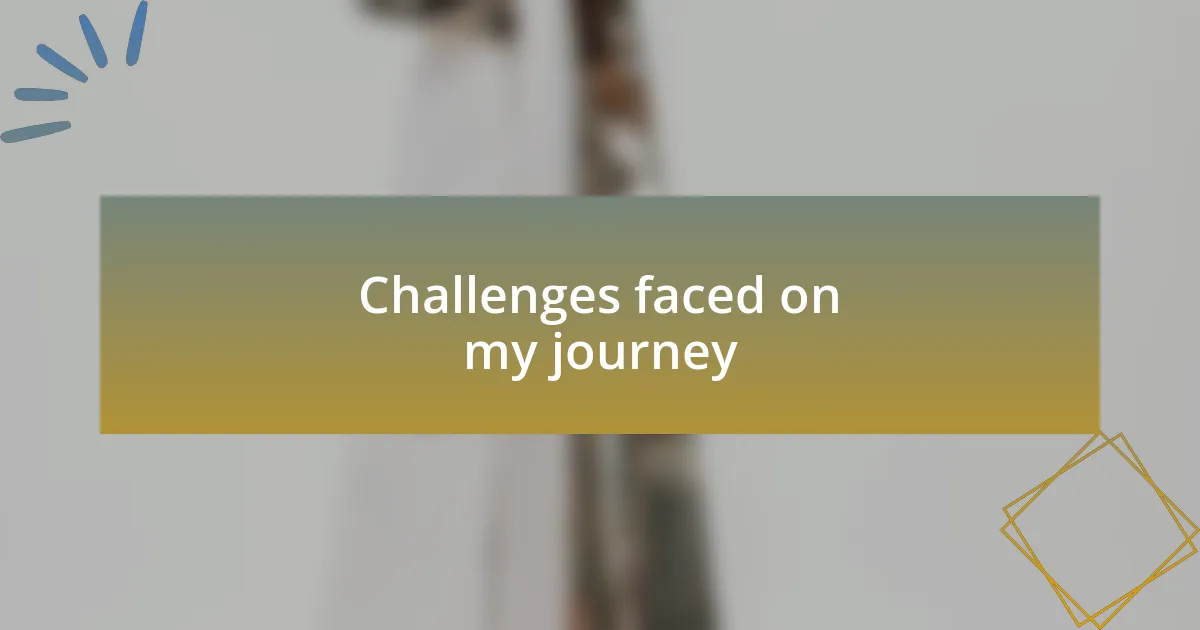 Challenges faced on my journey