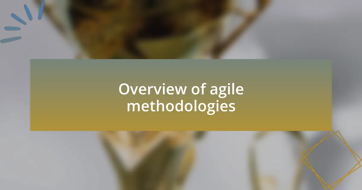 Overview of agile methodologies