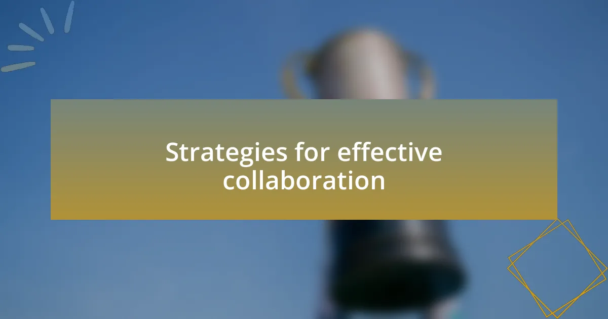 Strategies for effective collaboration