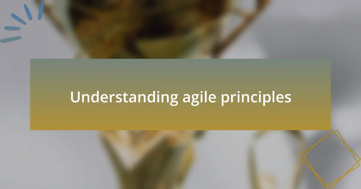 Understanding agile principles